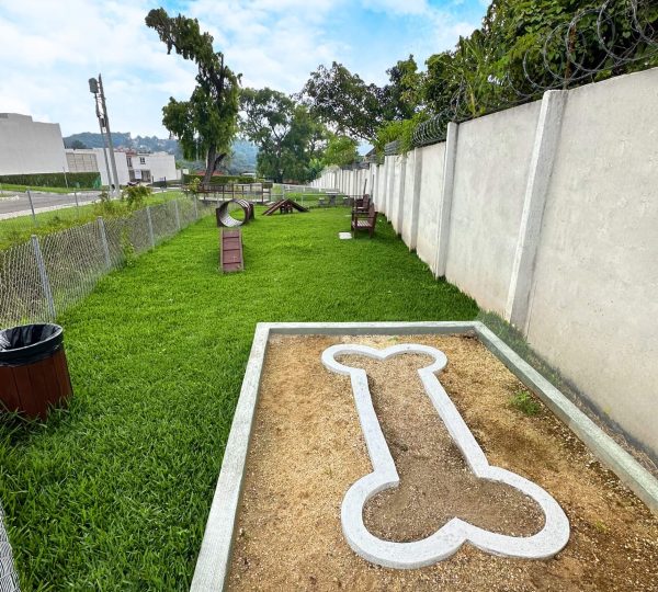 Pet Park
